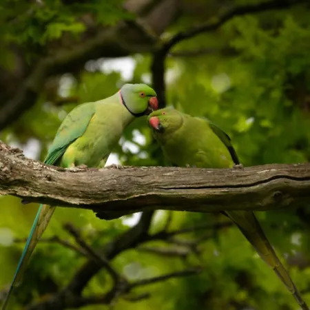 Espacioso En Feriehus